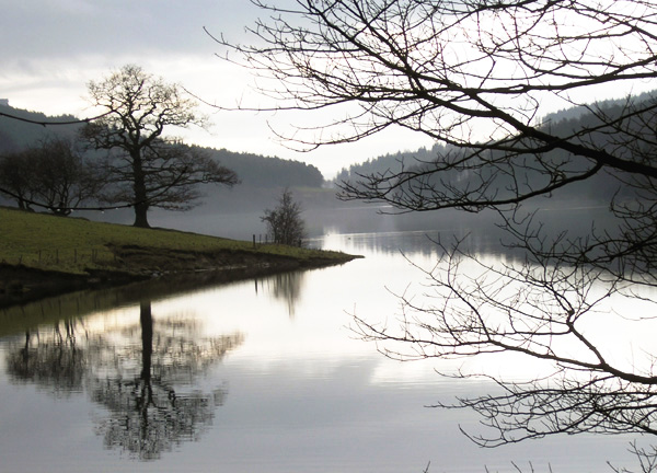 Derwint winter scene